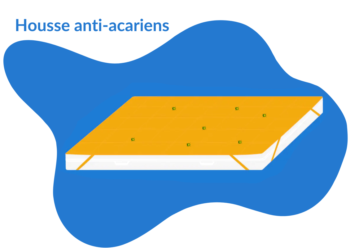 meilleure housse anti-acarien
