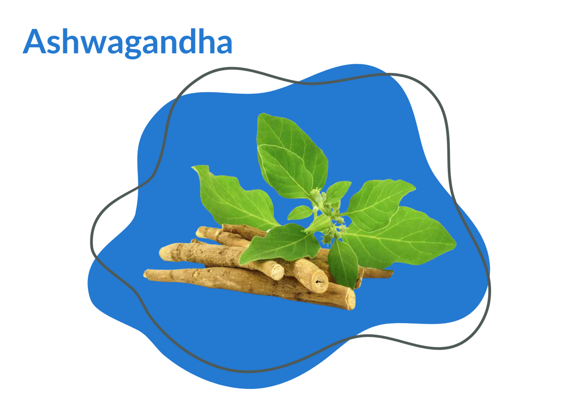 ashwagandha sommeil