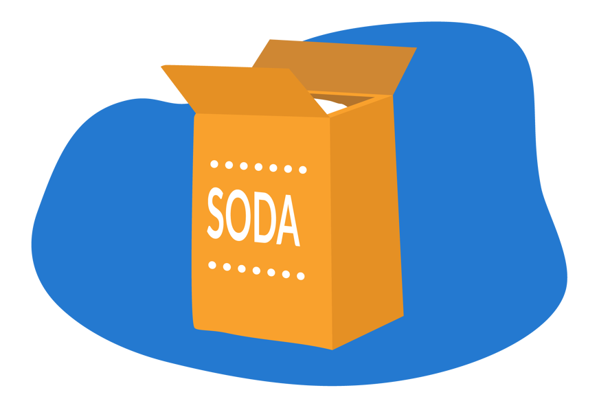 bicarbonate de soude punaise de lit