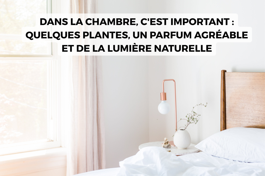 Comment décorer une chambre plantes