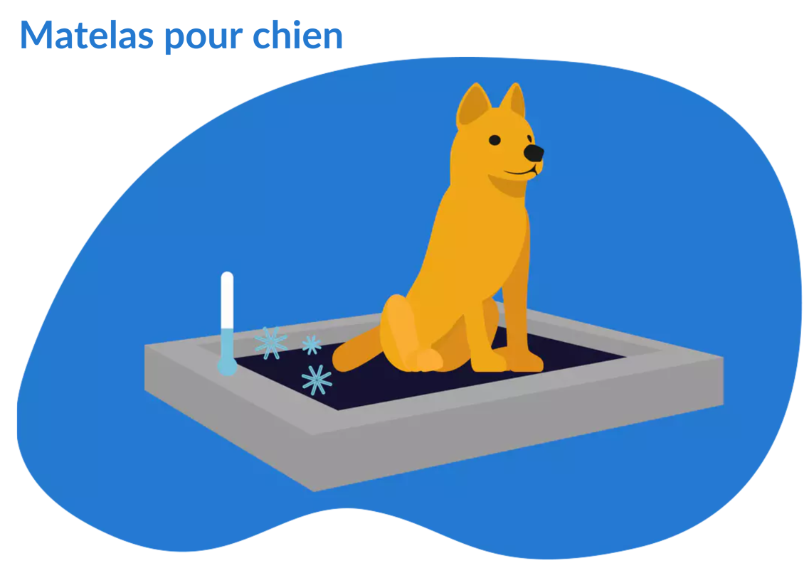 matelas pour chien