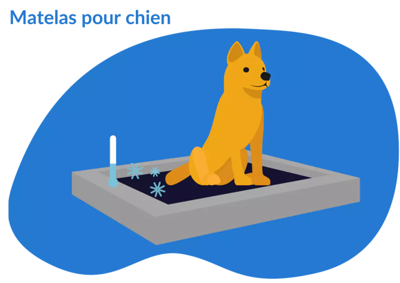 Matelas pour chien