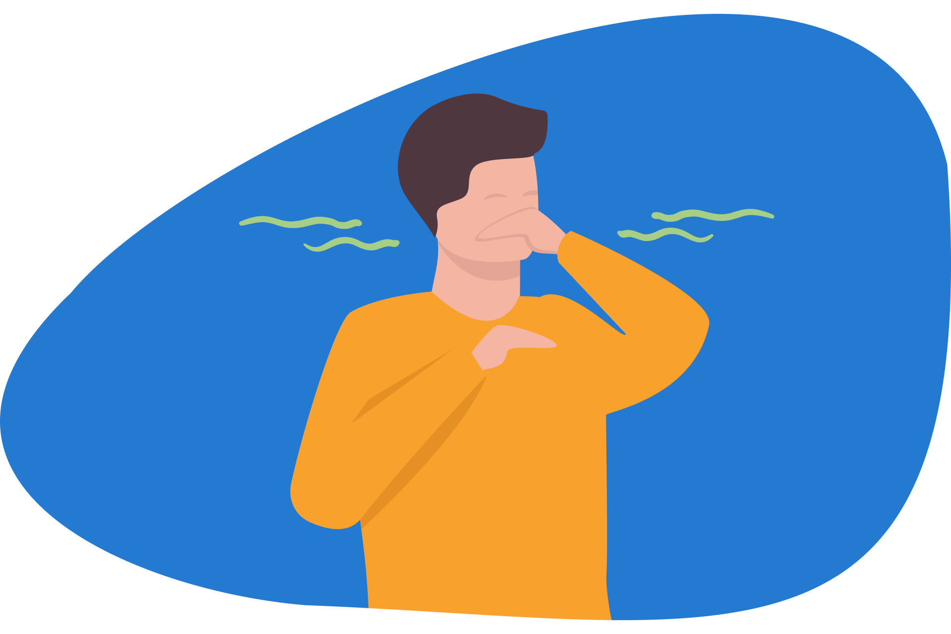 enlever odeur pipi chat