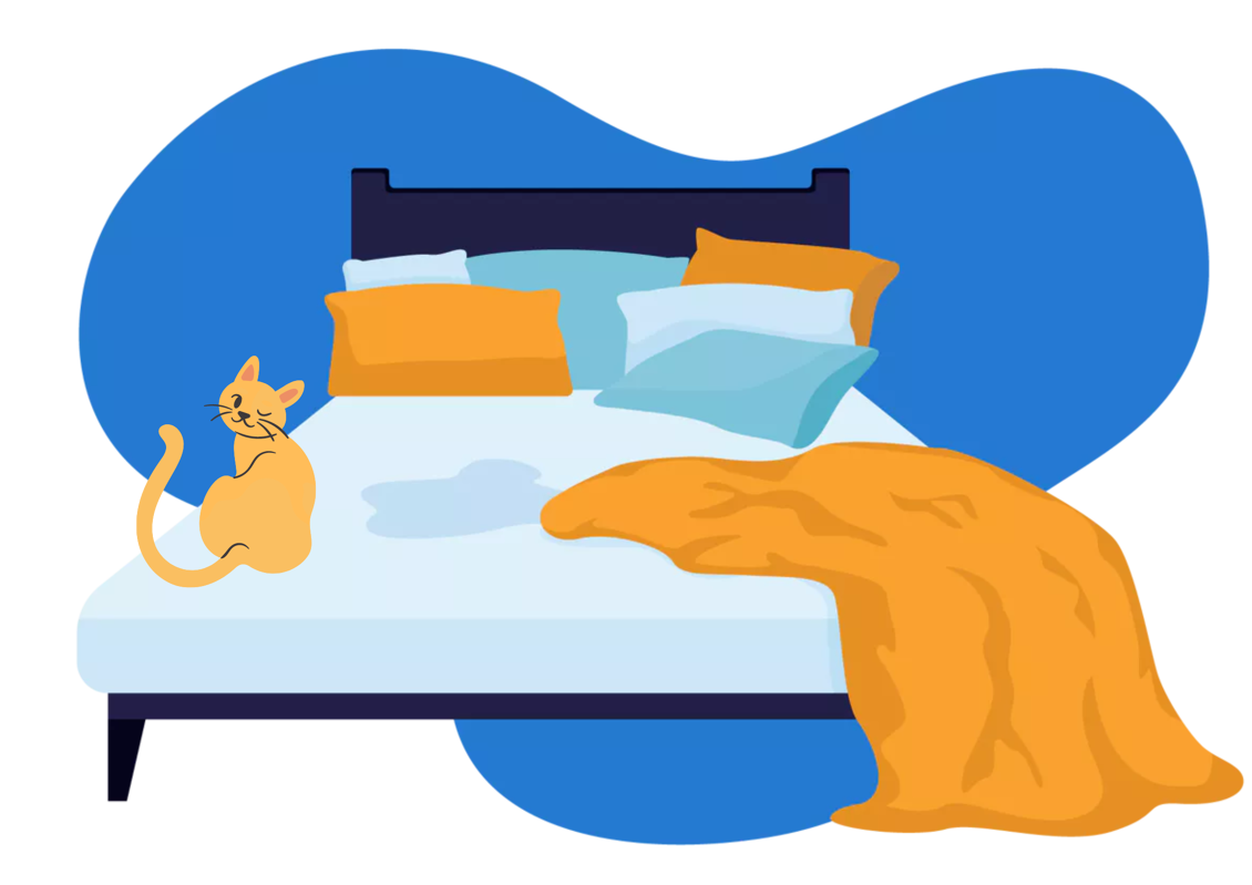 nettoyer pipi de chat matelas