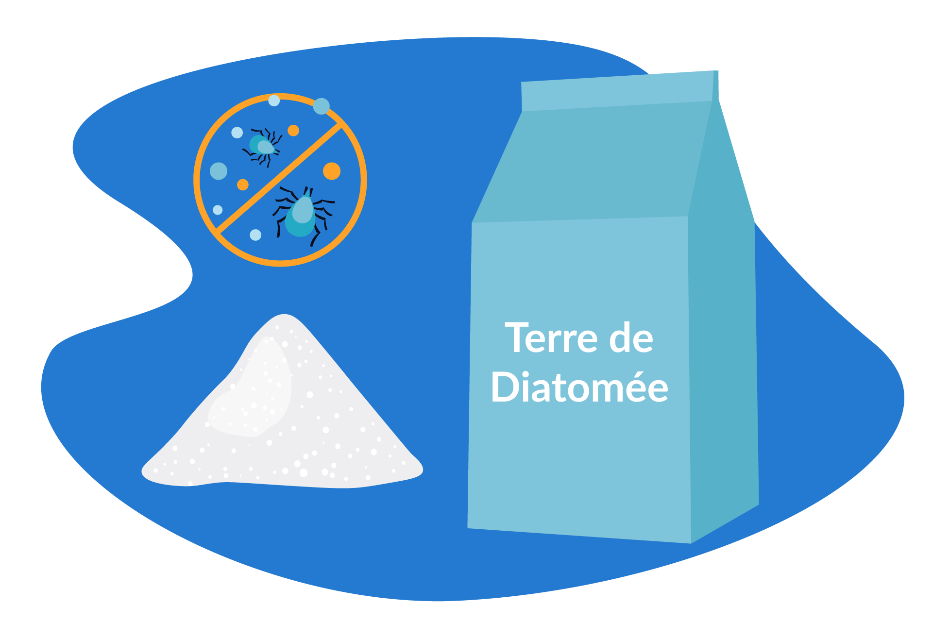 terre de diatomee astuce de grand mere punaise de lit