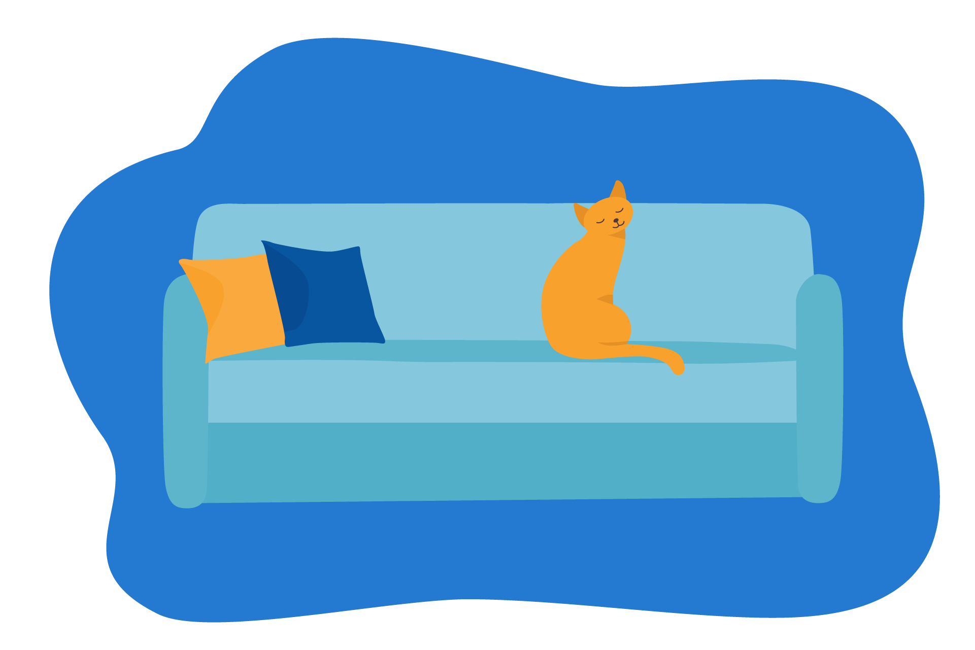 canape lit gigogne chat