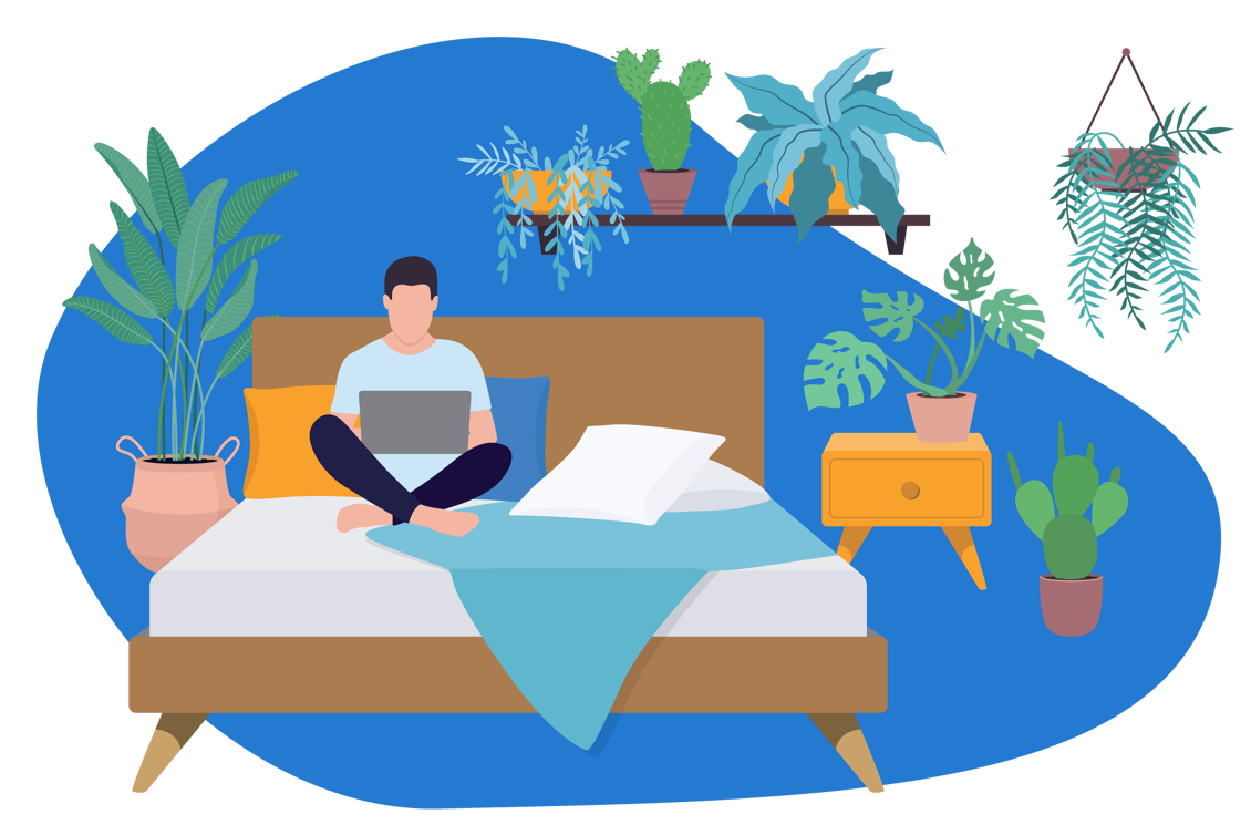 plantes pour chambre