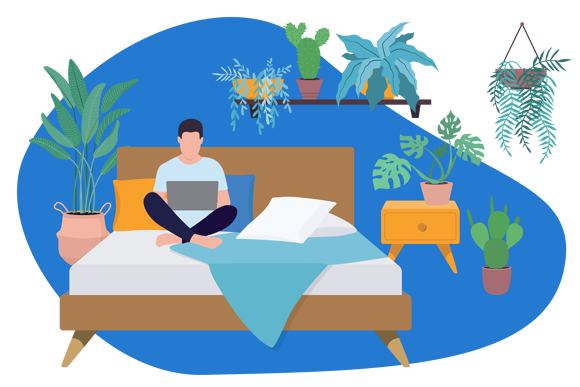 Plantes pour chambre