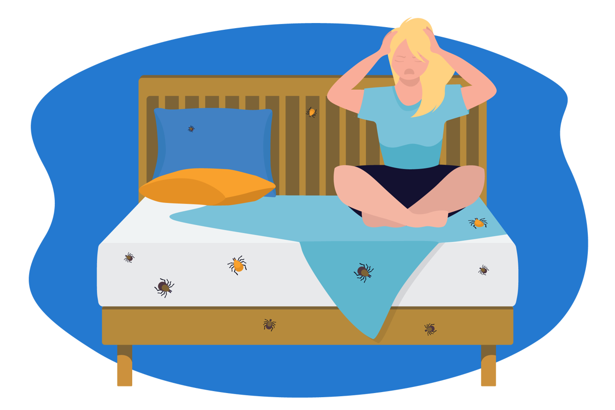 Punaises de lit : quelle prévention mettre en place chez soi ?
