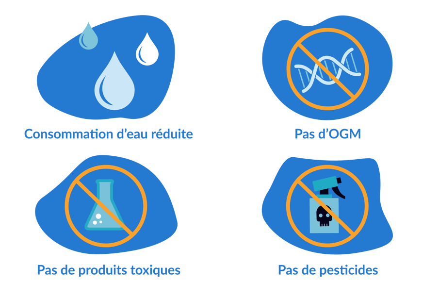 proprietes coton biologique organique