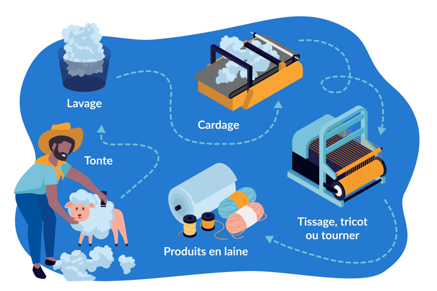 laine alpaga et laine merinos