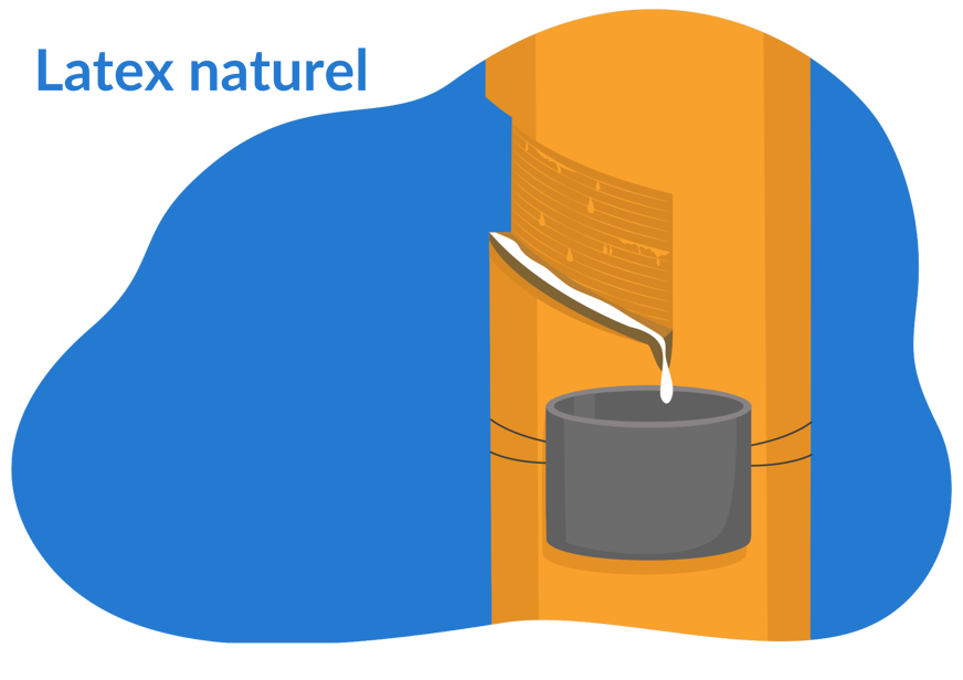latex naturel