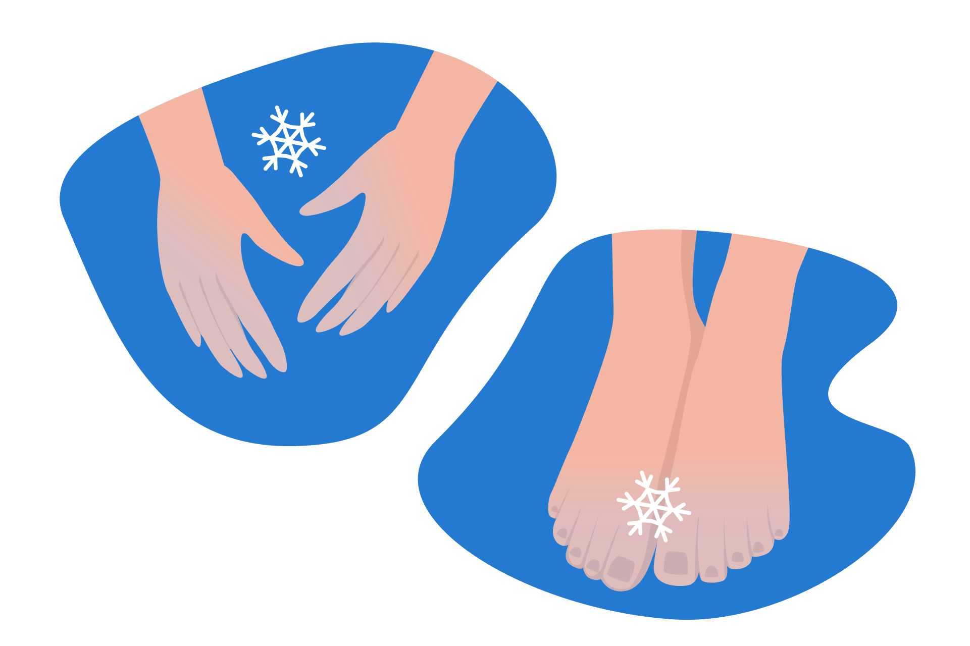 maladie raynaud extremites froides