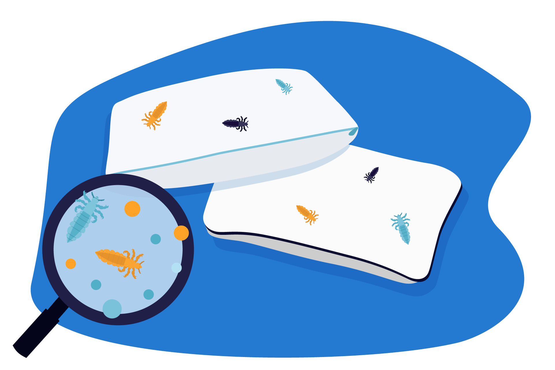 durée de vie des poux sur un oreiller