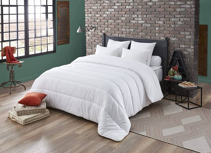 couette dodo arizona