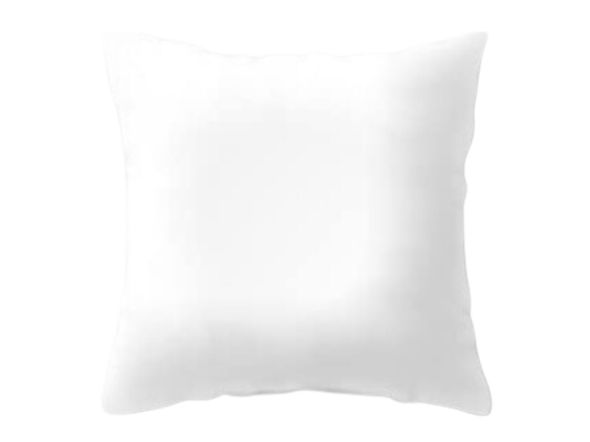 Drouault Oreiller Titanium en plumes mi-ferme