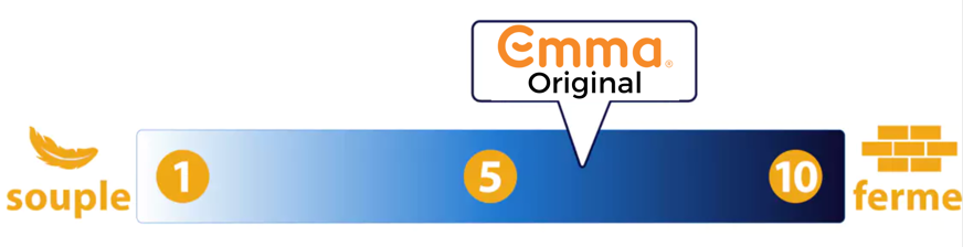 echelle de fermete emma original