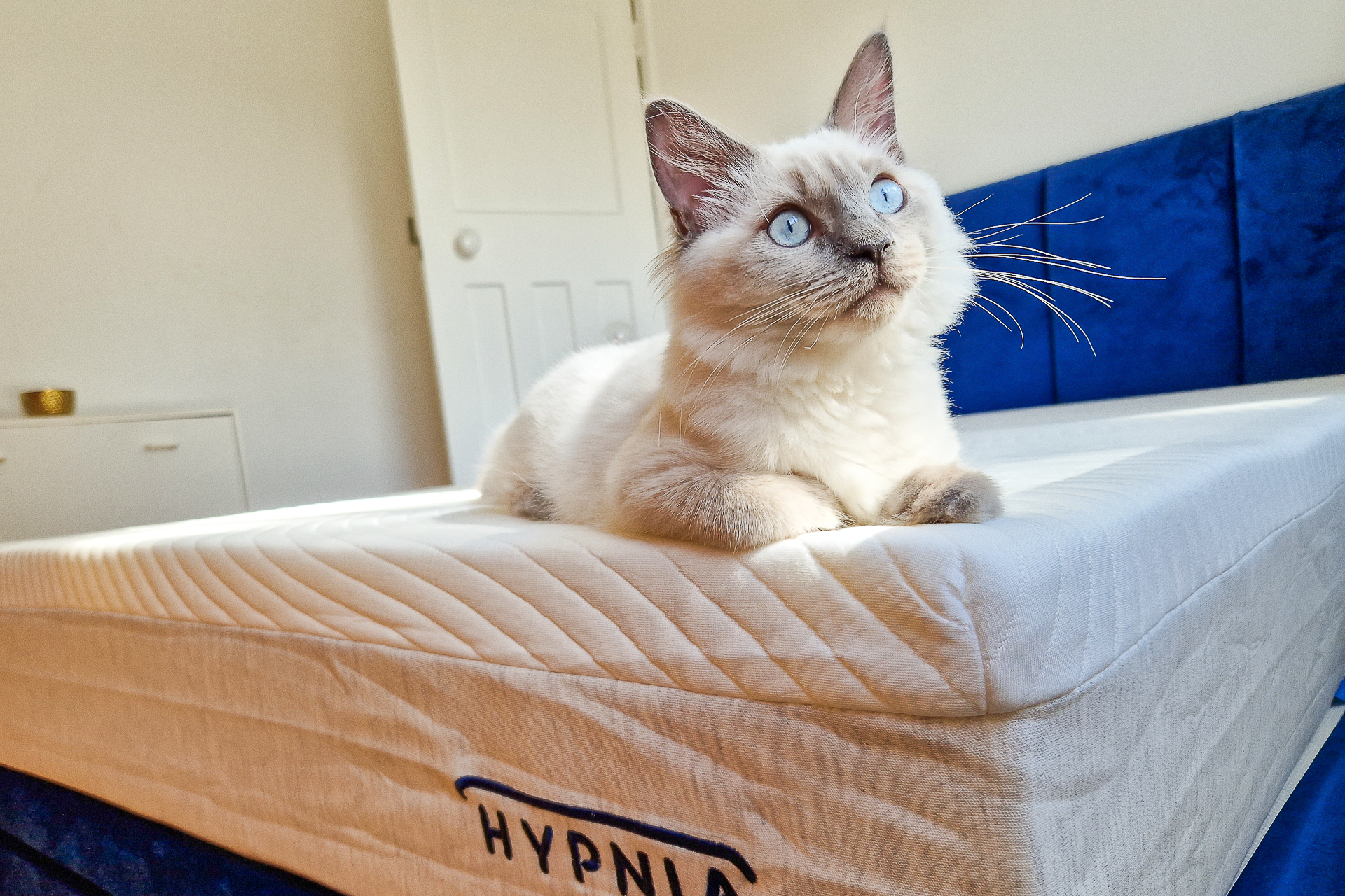 hypnia matelas hybride original