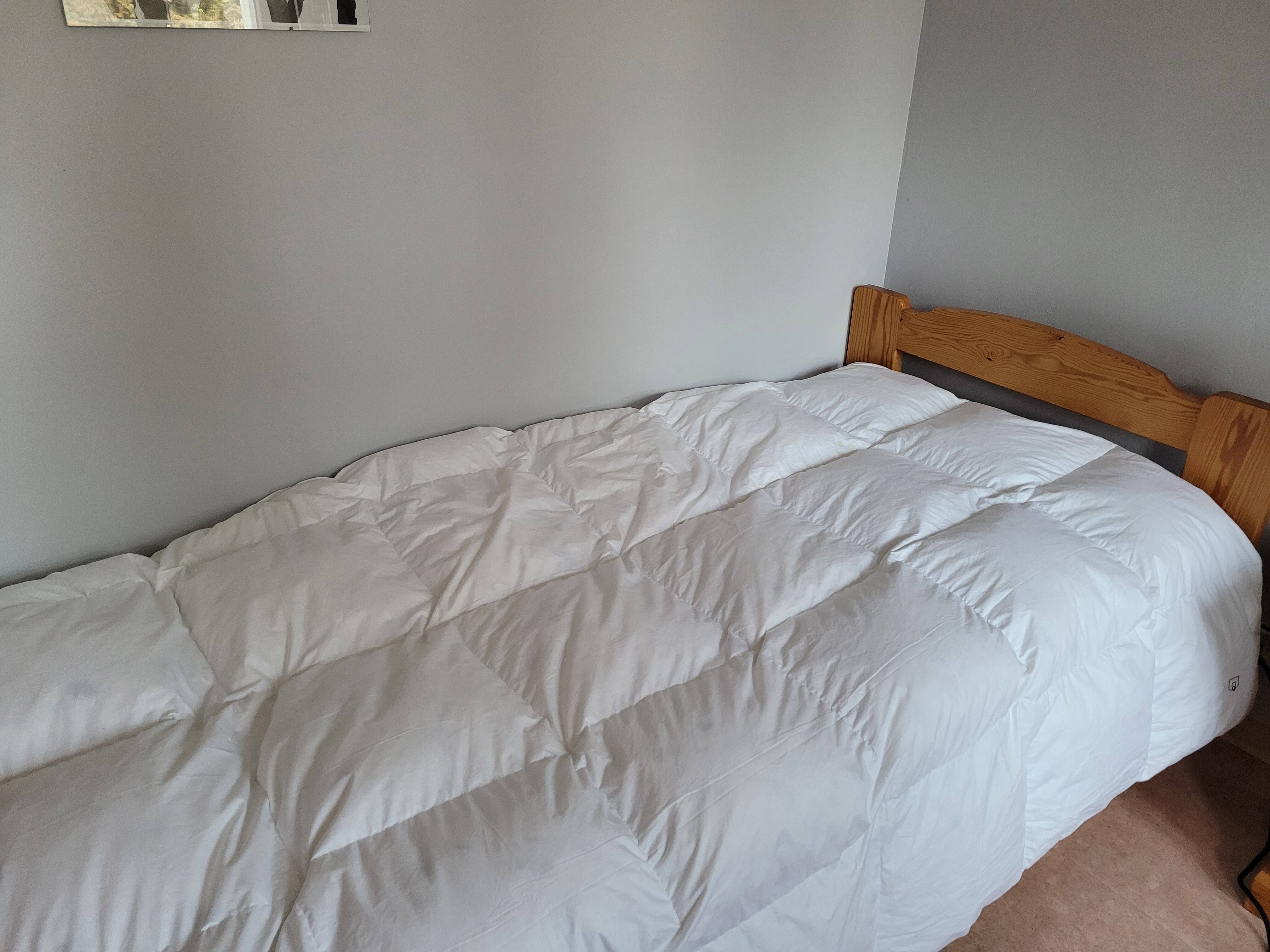 avis couette teddy bear