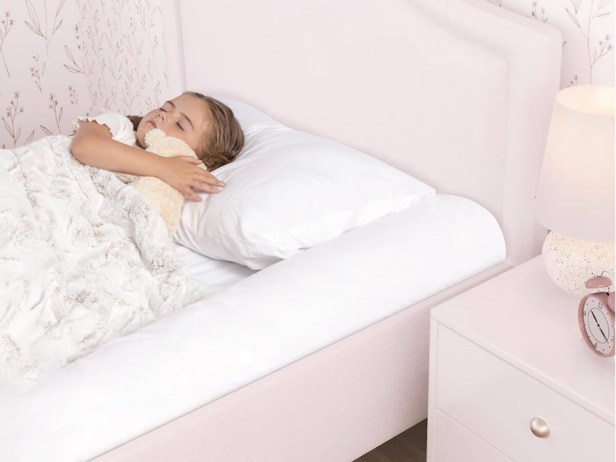 barriere de protection milliard