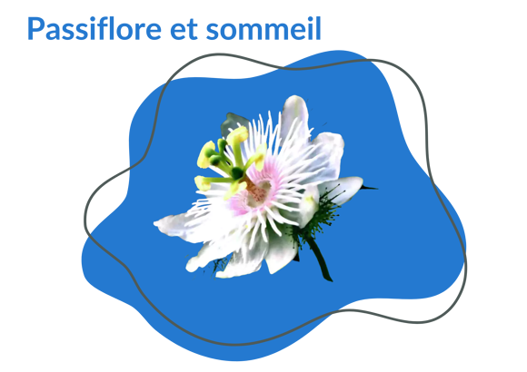 Passiflore et Sommeil