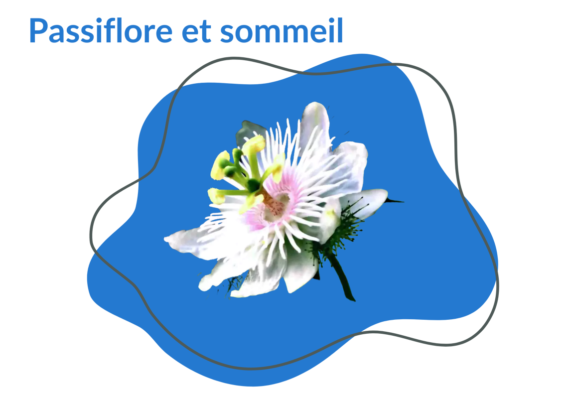 Passiflore sommeil